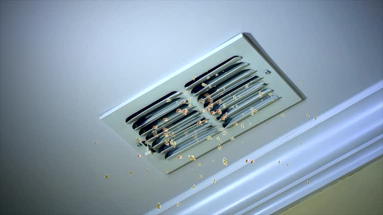 Best Home Air Vent Cleaning  in Platte, SD